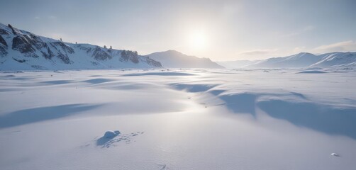 Vast expanse of snow, stark winter scene, shimmering ice,  shimmering,  icy plains