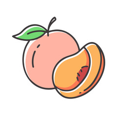 peach icon, peach vector illustration-simple illustration of peach, perfect for peach logos and icons