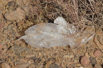 Plastic bag lying on the ground
