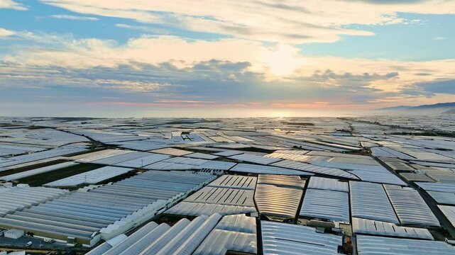 Aerial plastic greenhouses for agricultural crops in Andalusia of Spain