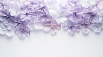 Pastel purple and white flower background with copy space.