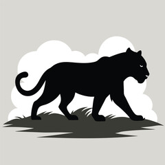 Black tiger walking through fog in silhouette