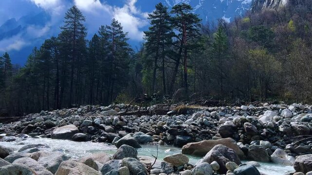River in North Ossetia, Alania, Tseydon. Mountain river with green trees. Mountain landscape with river at sunrise. River against the background of snow-covered Caucasus mountains in Tseysky gorge.4К