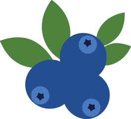 Realistic Vector Illustration of Fresh Bilberries with Green Leaves