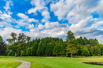 Fototapeta premium Nature landscape. Trail in park landscape. Trail in lush green forest park. Park pathway. Summer landscape in sunny day. Green grass field lawn with tree park or forest. Green meadow. Vibrant outdoor