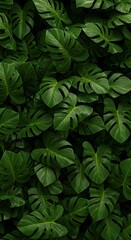 Emerald Green Lush: A Tapestry of Tropical Leaves