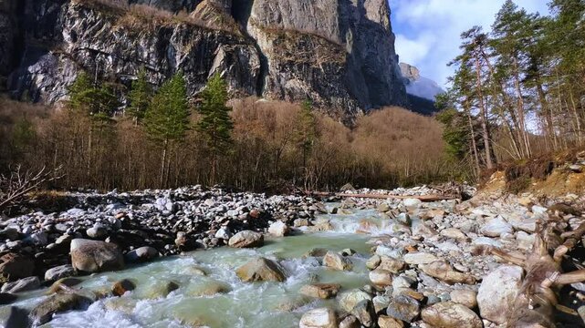 River in North Ossetia, Alania, Tseydon. Mountain river with green trees. Mountain landscape with river at sunrise. River against the background of snow-covered Caucasus mountains in Tseysky gorge.4К