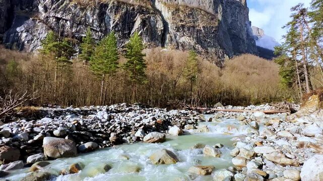 River in North Ossetia, Alania, Tseydon. Mountain river with green trees. Mountain landscape with river at sunrise. River against the background of snow-covered Caucasus mountains in Tseysky gorge.4К