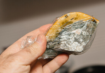 A hand holds a piece of moldy cheese wrapped in plastic film, showing visible green and white mold growth on the surface, indicating spoilage and waste