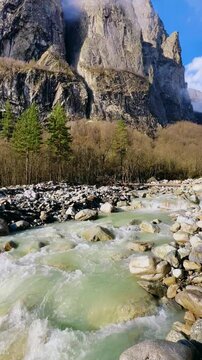 River in North Ossetia, Alania, Tseydon. Mountain river with green trees. Mountain landscape with river at sunrise. River against the background of snow-covered Caucasus mountains in Tseysky gorge.4К