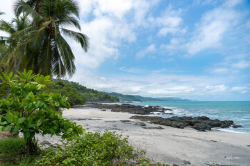 tropical beach with palm trees