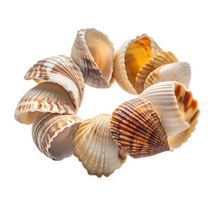 Trendy Shell Bracelet with a Modern Asymmetrical De Isolated on Transparent Background