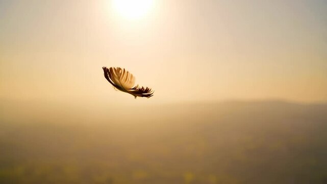 Floating feather against golden sunset background, serene atmosphere, feeling of lightness and freedom, nature's delicate beauty, single object in focus