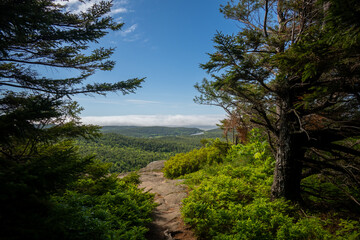 Granite Walkway Leads Away from Cedar Swamp Mountain Summit