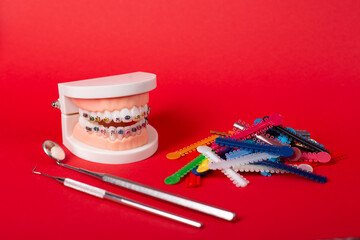 Dentist's work in dental office, showing jaw with braces. Orthodontic treatment, dental care concept
