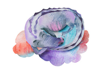 Watercolor animal baby newborn illustration. Crocodile on a multi colored cloud