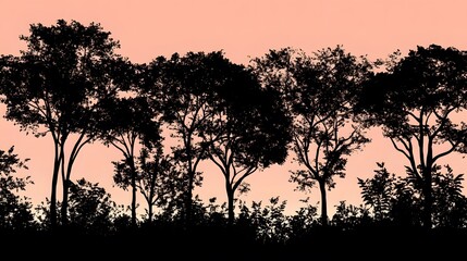 Silhouette of Trees at Sunset, Nature Landscape, Dark Trees, Pink Sky, Forest, Woods,  Evening, Scenic View, Tranquil Scene,  Outdoor Background