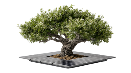 Bonsai Tree with Solar Panel Base Sustainable Energy Concept