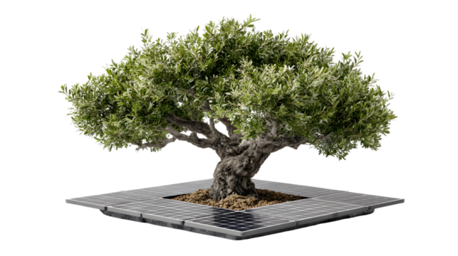 Bonsai Tree with Solar Panel Base Sustainable Energy Concept