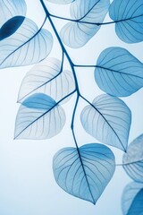 Translucent blue leaves on a branch against a light background