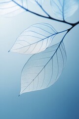 Translucent leaves on a branch against a blue backdrop