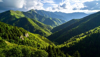 Obraz premium Lush Green Mountain Valley Landscape.