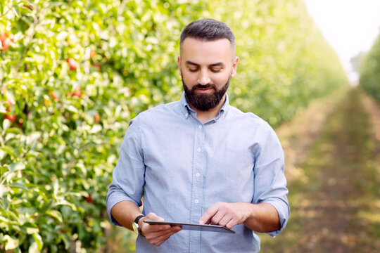 Modern businessman and smart device work on fruit farm in summer. Harvest season. Smiling handsome young bearded guy owner work on digital tablet at garden, on green leaves background, empty space