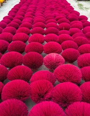 Obraz premium red incense in drying field