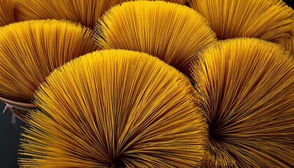 yellow incense, Vietnam