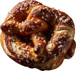 Golden Brown Soft Pretzel with Coarse Salt Crystals