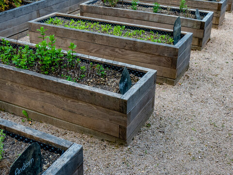 Kr&auml;utergarten mit K&uuml;chenkr&auml;utern