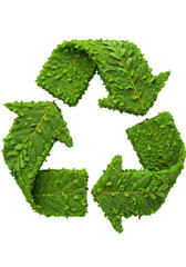 Recycling Symbol Made of Green Leaves Isolated on White Background