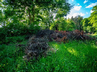 Grünabfälle im Frühjahr