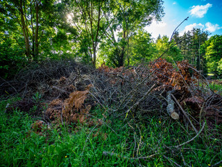 Grünabfälle im Frühjahr