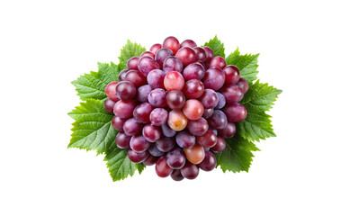 Fototapeta premium A beautiful and fresh bunch of red grapes with green leaves