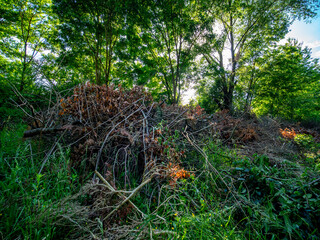 Grünabfälle im Frühjahr