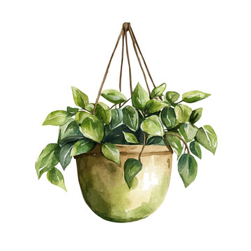 green watercolor hanging plant pot clip art preview
