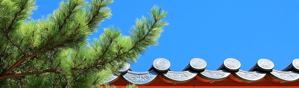 Temple roof, pine branch, blue sky. Asian travel