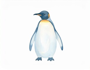 Fototapeta premium ペンギン