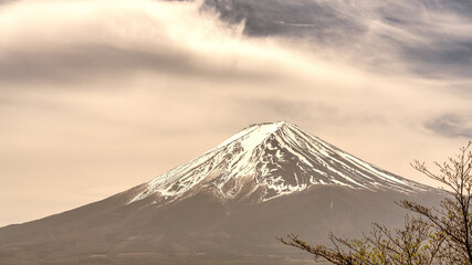 Springtime view of Mount Fuji with its snow-capped summit and fresh scenery
