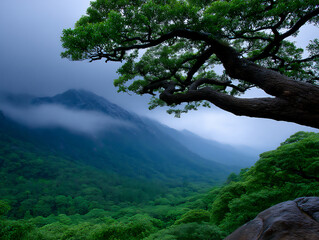 Fototapeta premium majestic view of a tropical rainforest canopy with vibrant green foliage and exotic wildlife