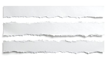 Torn Paper Strips with White Background.