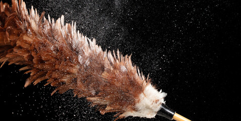 Old Traditional Feather Duster stick made from Chicken to clean house dust and web. Room Ceiling and window covered with dust bunnies, cobweb. Black background isolated