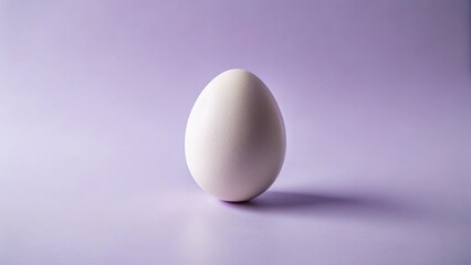 A single, pristine white egg rests on a soft lavender background, a minimalist study in form and texture.
