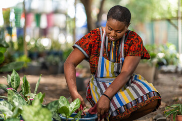 Successful African female horticulturist taking care of her nursery. She is pruning potted plants...