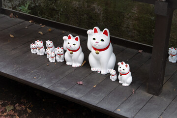 Group of manekineko, Japanese cat figurine, at Gotokuji Temple in Tokyo
