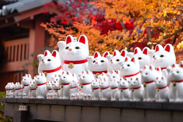 Group of manekineko, Japanese cat figurine, at Gotokuji Temple in Tokyo with background of autumn color
