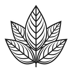 Black and white vector leaf icon with natural and eco-friendly design elements