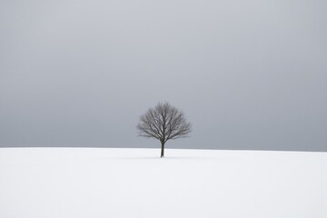 A lone tree stands in the middle of a snowy field.
