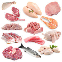 Fish and meat. Different fresh raw products on white background, collage